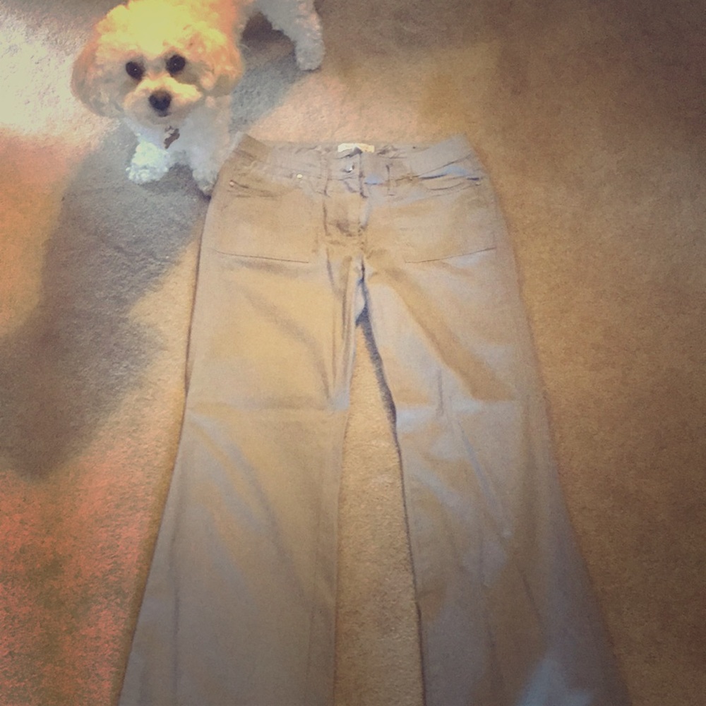 Gray pants